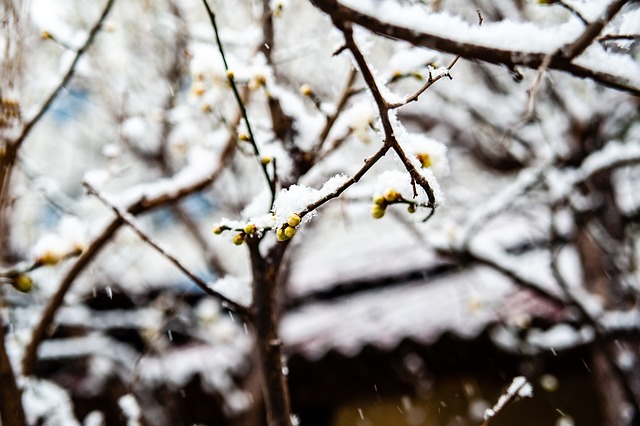 体节奏和对